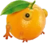 orangewolly orangewolly