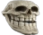 mem_skull Discord emoji