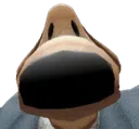 sam