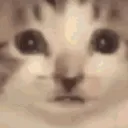 stares
