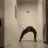 the_spider