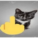 gatofakyu