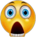 shellshocked2