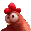 chickensuspicious chickensuspicious
