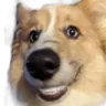 buttsniffa