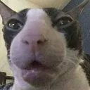 HUH