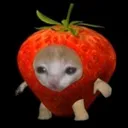 strawbcat