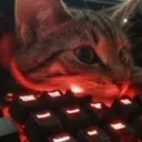 Boredd Discord Emoji