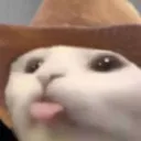 3_cato_cowboy Discord Emoji