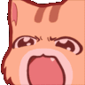Cat Angry catangry Discord Emoji