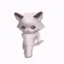 K9_catboogie