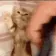 TuckAHomie