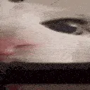 mlem2