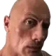 sus