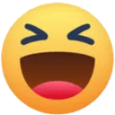 Fb Haha Discord Emoji