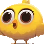 ChickOoh