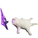 catdeadlole