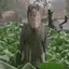 shoebillgif