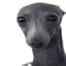 emoji_20 emoji_20