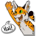 Hai