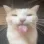 catblehsilly
