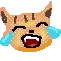 catwithtearsofjoyfacebook
