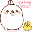 molang_thankyou
