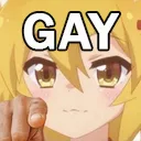 Ani_gay