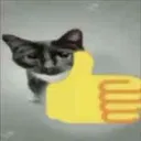 ThumbsUpCat
