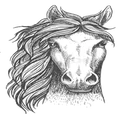 horse_of_judgement