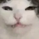 greeheehee