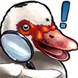 dukClue