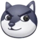 doge