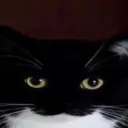 uniStare