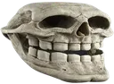 TrollSkull