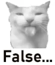 sillyfalse