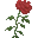 AethsLiveFlower