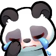 Pandacry PandaCry Discord Emoji