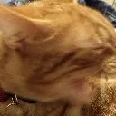 AHHHHH