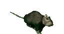 emoji_40