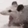 RatScreamL