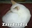 Zzzzz
