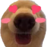 0_1hearteyes