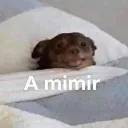 amimir_777 amimir_777