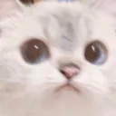 DBBored Discord Emoji
