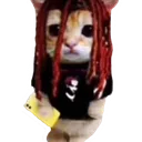 Emo Cat Discord Emoji