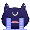 BlackCatCry_P2U Discord Emoji