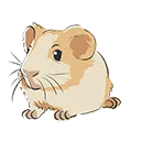 hamster