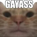 000mewgayass