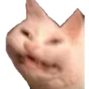 Tcatcreep